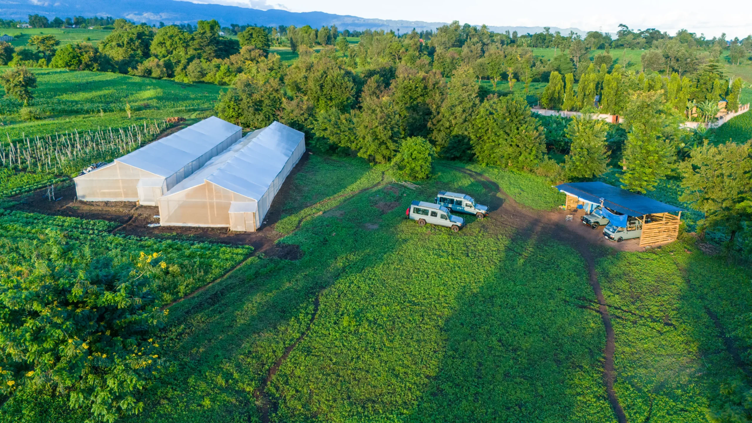 Why 4x4 Vehicles Are Essential