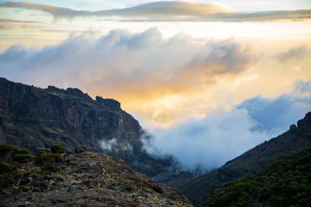 Final ascent to Uhuru Peak via the Marangu Route on Mount Kilimanjaro